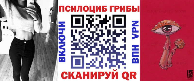 Псилоцибиновые грибы GOLDEN TEACHER  Купить где  Дагестанские Огни 