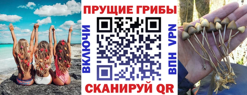 Галлюциногенные грибы ЛСД Дагестанские Огни